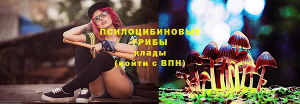 молекула духа Пролетарск