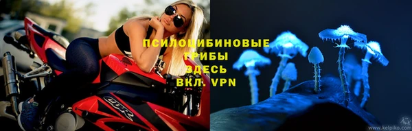 винт Беломорск