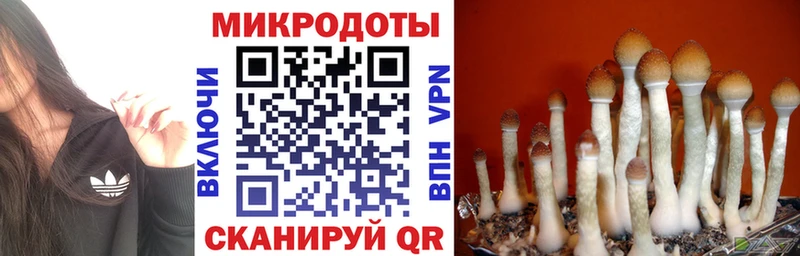 мориарти как зайти  Севск  Псилоцибиновые грибы Psilocybine cubensis  даркнет сайт 